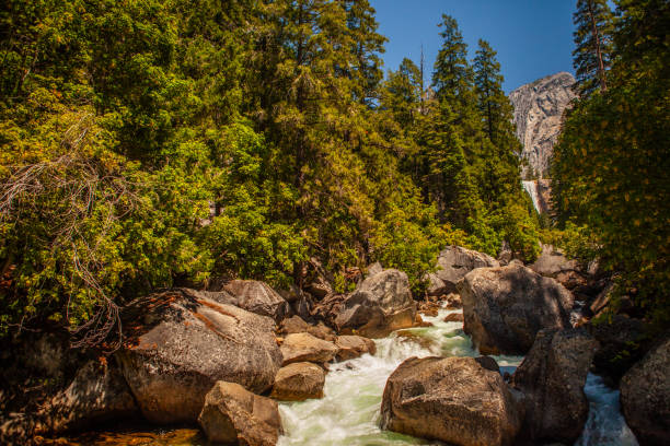 istock A beautiful view of a forest, river and mountain. 1725635574