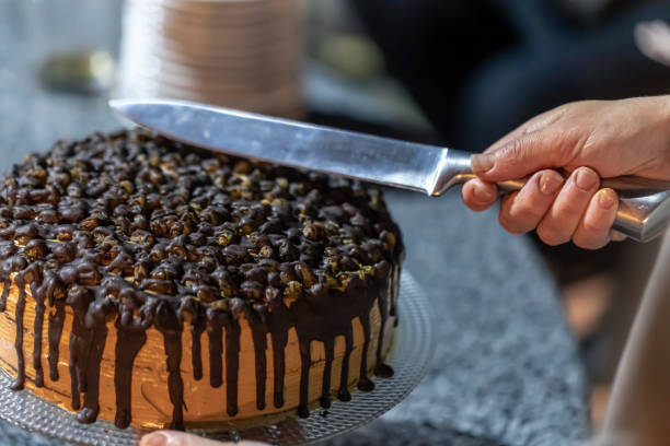 Appetizing homemade chocolate cake in the hands of a woman, close-up.