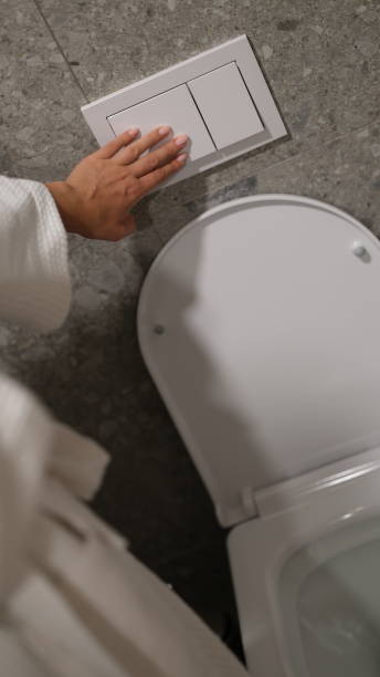 istock Economical toilet flush press with two separate buttons 1725678865