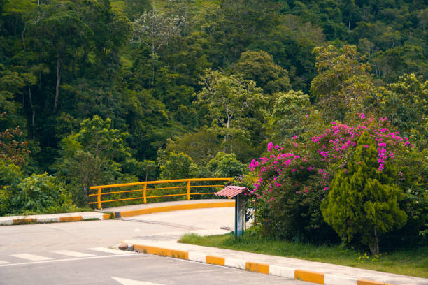 Crossing in paradise: Pozuzo bridge between jungle and serenity stock photo