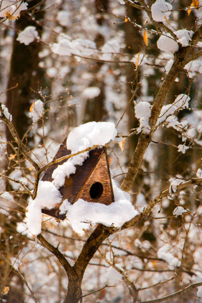 istock Colonial Wood Bird House 1725699074