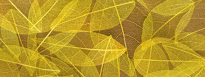 Background from artificial autumn yellow leaves, closeup. Golden and orange leaf texture, nature plant fall backdrop. Background from artificial autumn yellow leaves, closeup. Golden and orange leaf texture, nature backdrop.