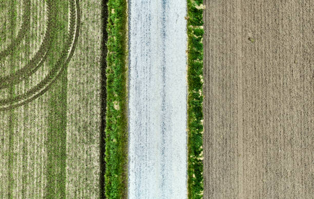istock Aerial view of cultivated field 1725712097