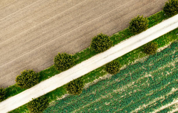 istock Aerial view of cultivated field 1725713804