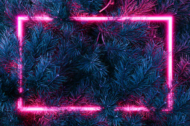 istock background of fir branches with a neon glowing frame 1725721228
