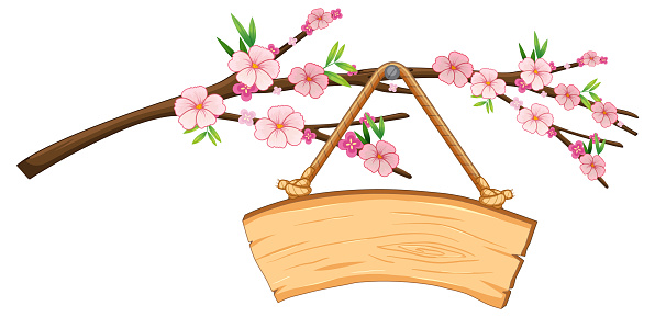Vector cartoon illustration of a cherry blossom tree branch with a wooden signboard hanging on it