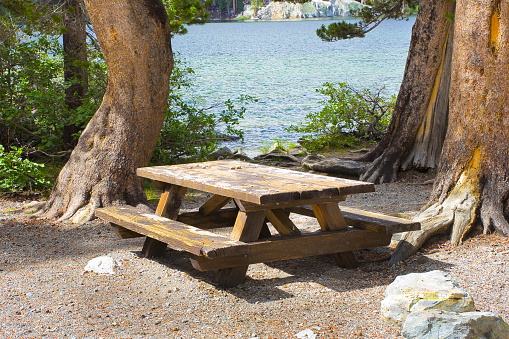 New empty picnic wooden table in a wood with trees and lake