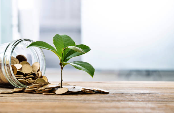 istock Background of plant growing from coins 1725735812