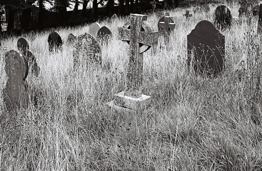 An abandoned and forgotten cemetary left to overgrow, Devon UK, 35mm film.