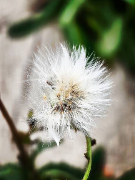 istock Walk in October in Northern Germany 1725754542