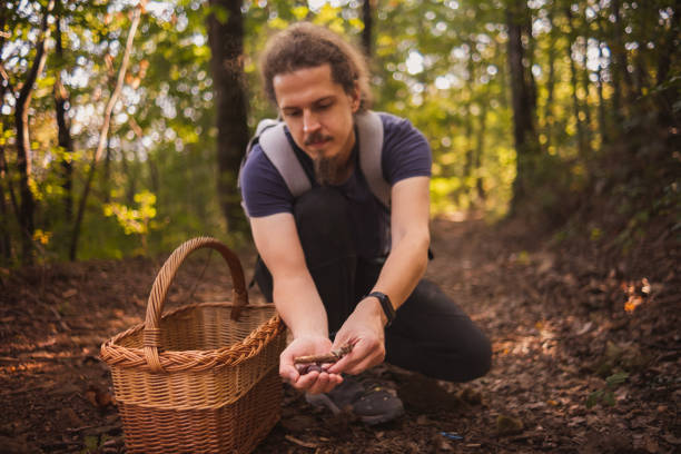 Young man spending his weekend in the forest harvesting chestnuts