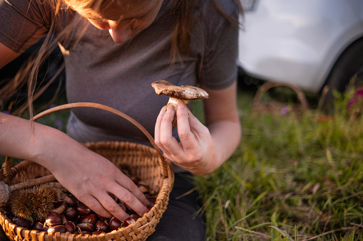 Woman showing off what kind of mushrooms she found while harvesting chestnuts