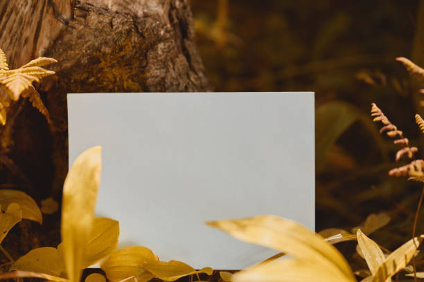 istock Mockup Featuring a Blank White Canvas Surrounded by Bright Yellow Leaves in Forest 1725773080