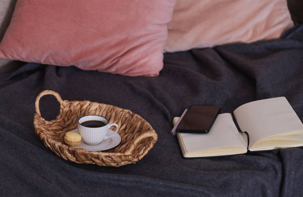 istock velvet pillows and gray blanket in the evening lighting 1725773096