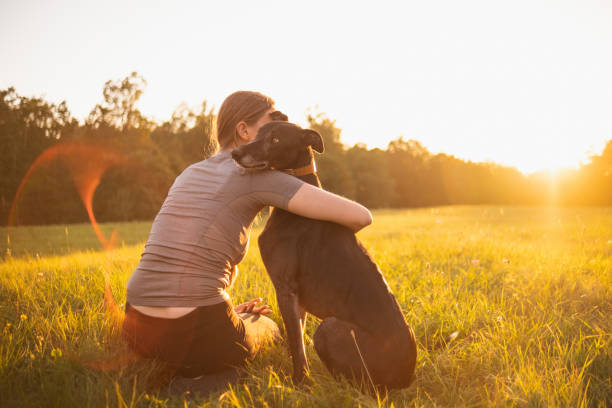 istock Watching the sunset with my good boy 1725773139