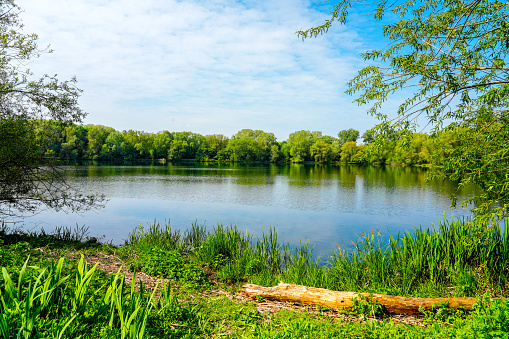 Ölpersee near Braunschweig in the Okeraue. Landscape by the lake with the surrounding nature.