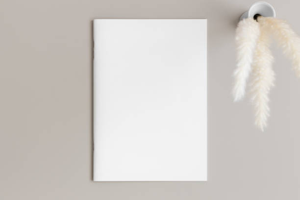 istock Magazine mockup with a pampas on the beige table. 1725836661