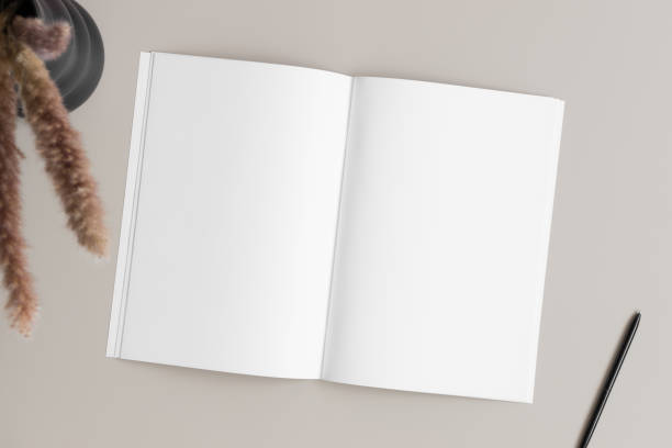 istock Open magazine mockup with a pampas on the beige table. 1725836663