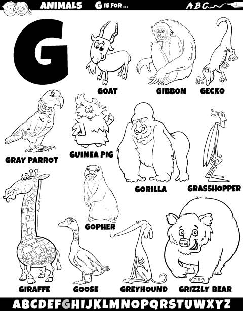 260+ Animal Alphabet Letter G For Giraffe Stock Illustrations, Royalty ...