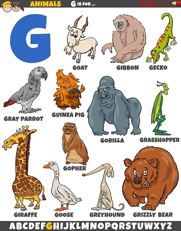 Cartoon illustration of animal characters set for letter G