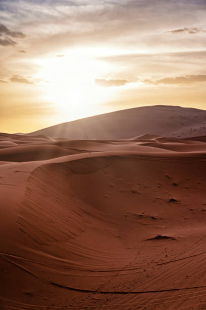 istock Desert dunes landscape with sun flare on cloudy sky background. 1725879050