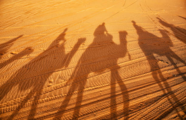 istock Camal caravan on a Nomad trip through sand desert 1725879567