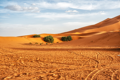 Merzouga is a small Moroccan town in the Sahara Desert, near the Algerian border. Itâs known as a gateway to Erg Chebbi, a huge expanse of sand dunes north of town.