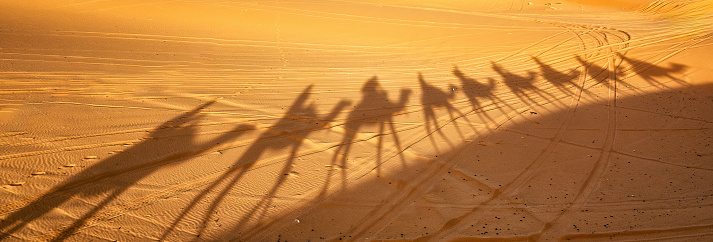 Camel shadow in the desert of Morocco.