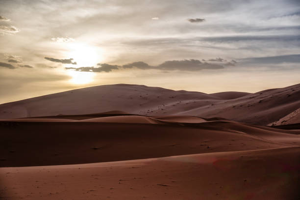 istock Beautiful sand dunes in the Sahara desert. 1725879605