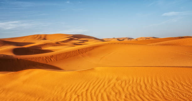 istock Beautiful sand dunes in the Sahara desert at Morocco 1725880210