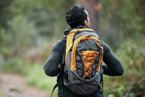 Man, backpack and walking with back, view and camping travel in the forest for holiday. Exercise, trekking workout and hiking in the woods for vacation with freedom on nature path and a journey