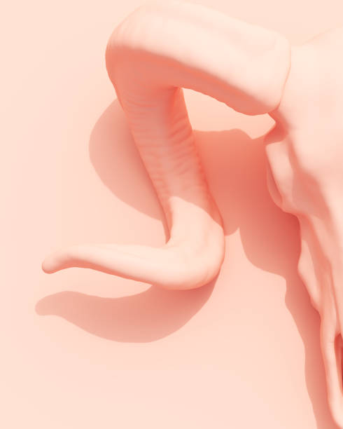 istock Rose pink ram skull peach background 1725881974