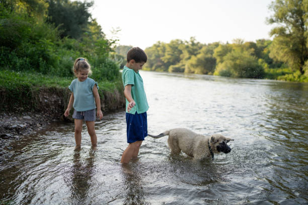 istock Brother and sister playing in river 1725883176
