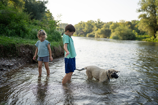 Young boy and girl playing together with their dog in the shallow part of river in nature.