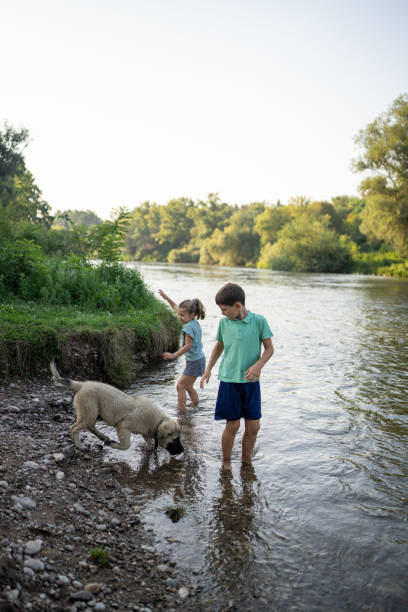 istock Boy and girl playing in river 1725883219