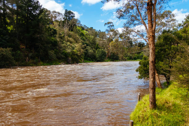 istock Yarra River Flooding in Warrandyte Australia 1725892033