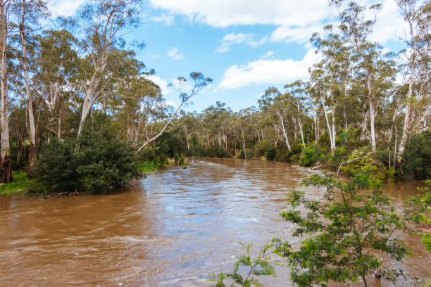 istock Yarra River Flooding in Warrandyte Australia 1725892041