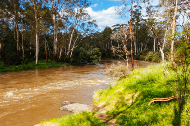 istock Yarra River Flooding in Warrandyte Australia 1725892048