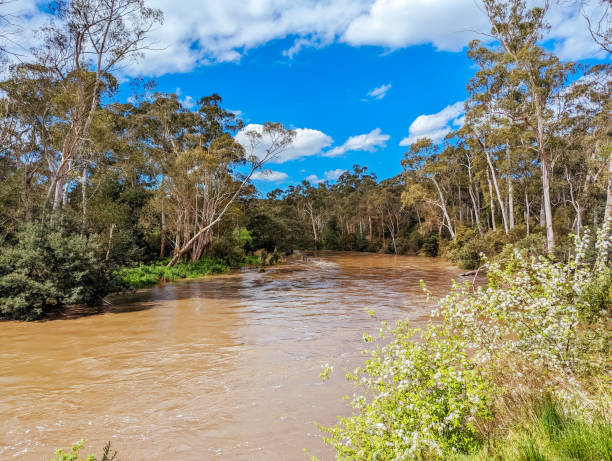 istock Yarra River Flooding in Warrandyte Australia 1725892055
