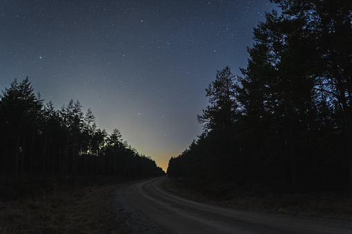 Night scene, dirt road through the forest, starry sky, the sun begins to rise. High quality photo