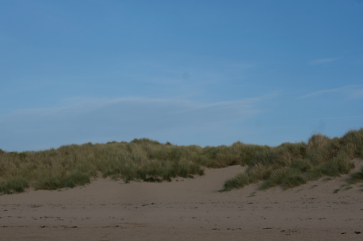 Beach with sand dunes and marram grass in soft evening sunset light. Beach dunes at Skagen Nordstrand where Baltic Sea and North Sea are colliding.