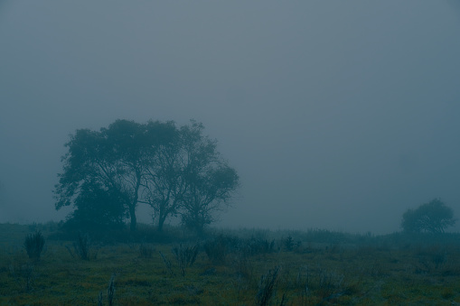 Fuzzy foggy rural landscape in autumn
