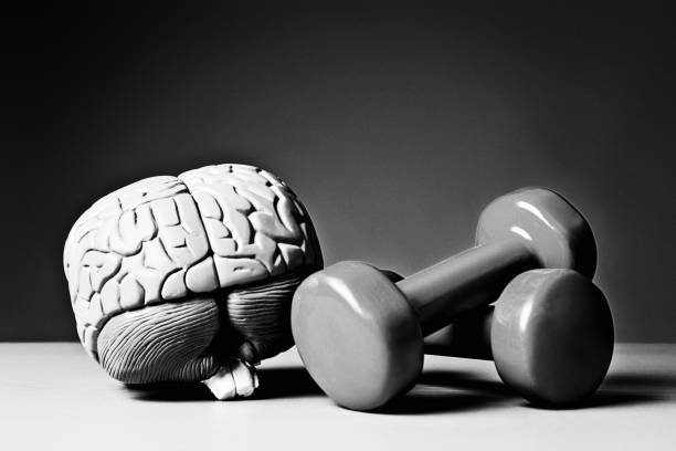 istock Brain and brawn: exercise is good for the mind and body! 1725968518