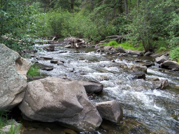 istock A stream in the Carson National Forest, New Mexico 1725970741