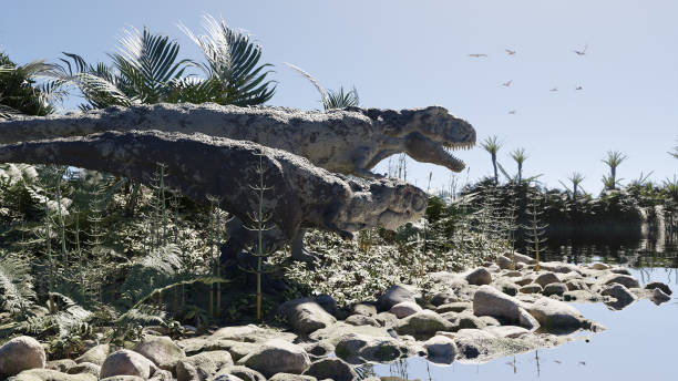 dinosaurio 01 - paleobiology fotografías e imágenes de stock