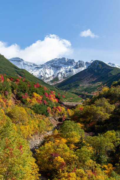 Scenery of the autumn leaves in Tokachidake mountains, Hokkaido. stock photo
