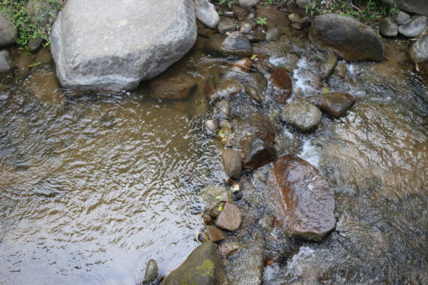 istock Mini river in the forest. Beautiful nature. 1726008744