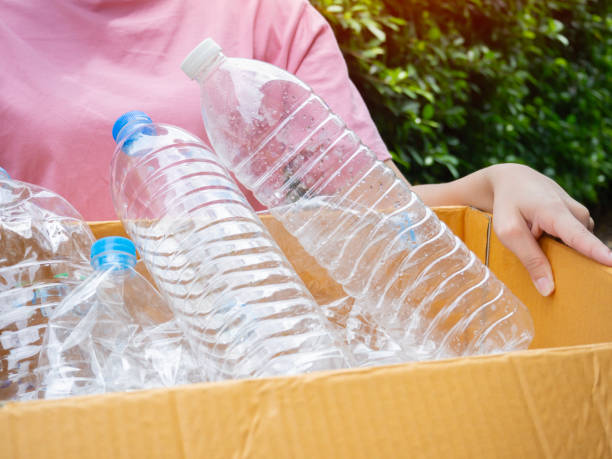 istock Volunteer keep plastic bottle into paper box at home or office. Hand Sorting Recycle garbage. 1726049056