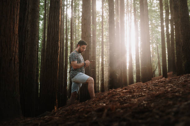 istock Man with smart phone in a redwood forest 1726053589