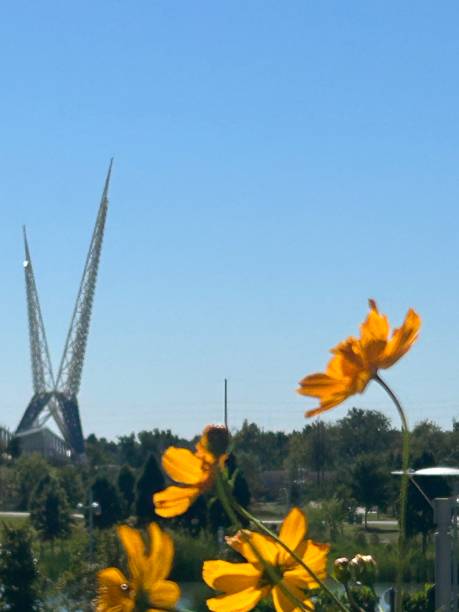 istock Scissortail monument with yellow petals in foreground. 1726056002